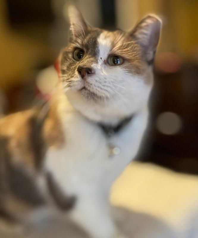 Carly 2