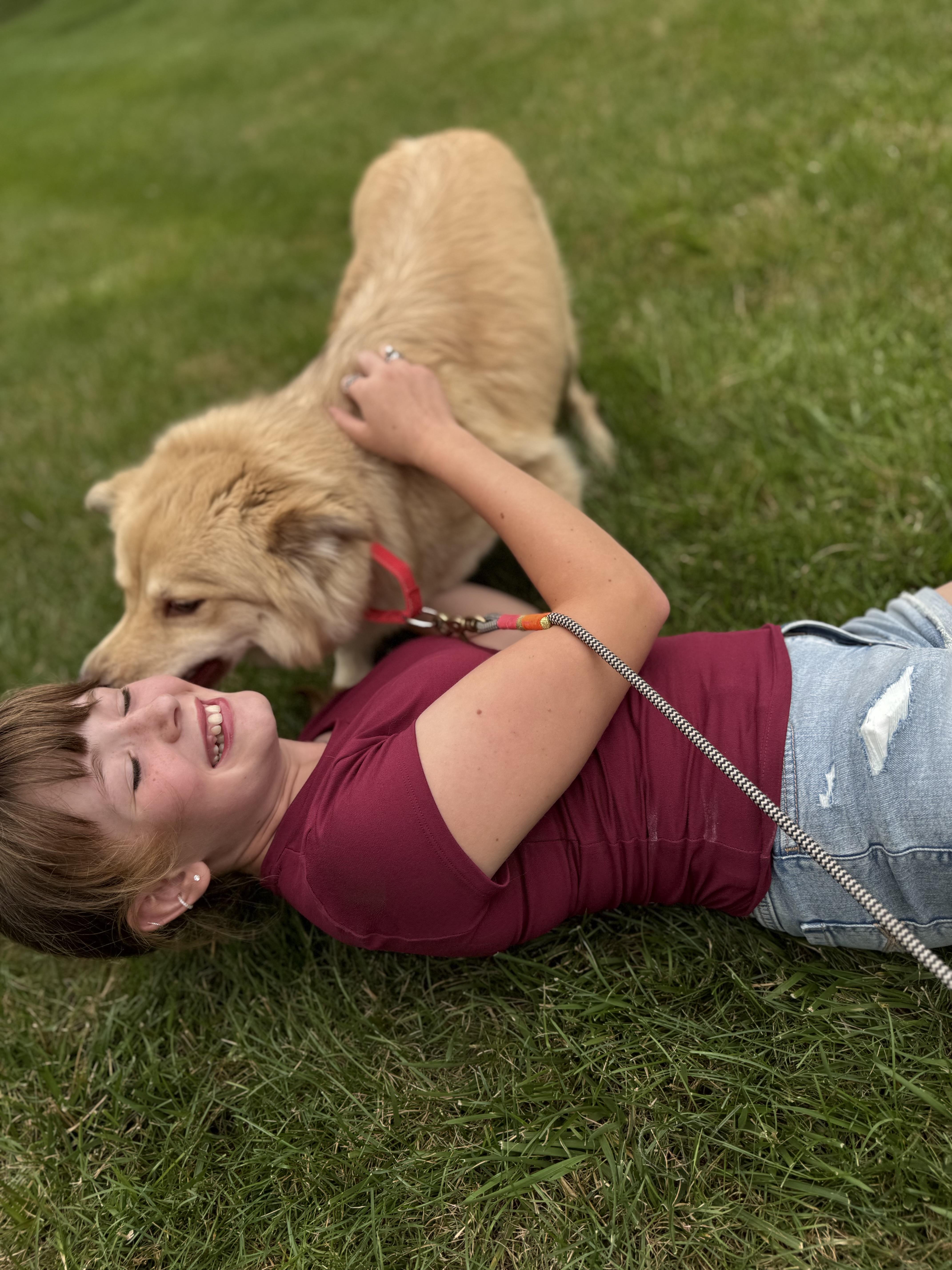 Nellie, an adopted mixed breed in Mendham, NJ image 2/5