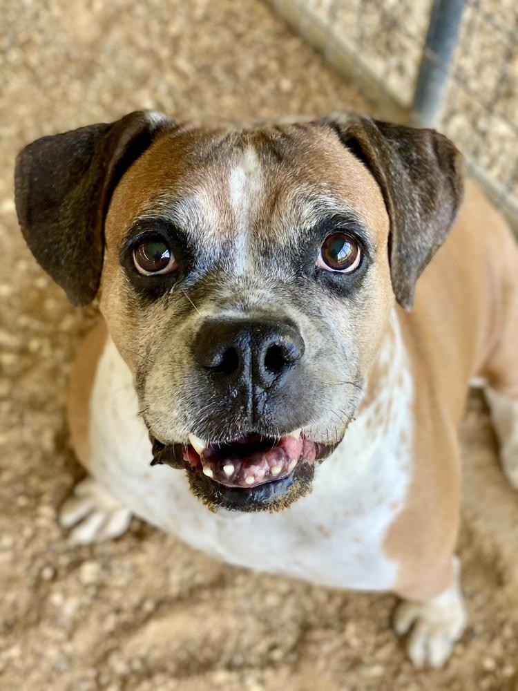 Ebba - Silver Heart — thumbnail 7