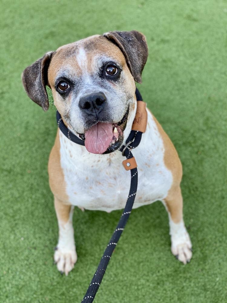 Ebba - Silver Heart — thumbnail 8