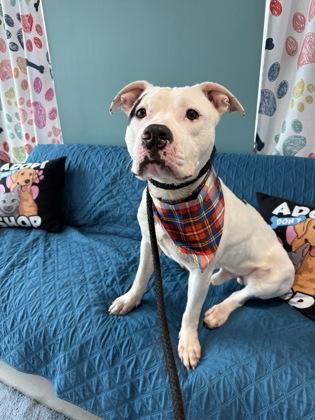 Cove — thumbnail 2