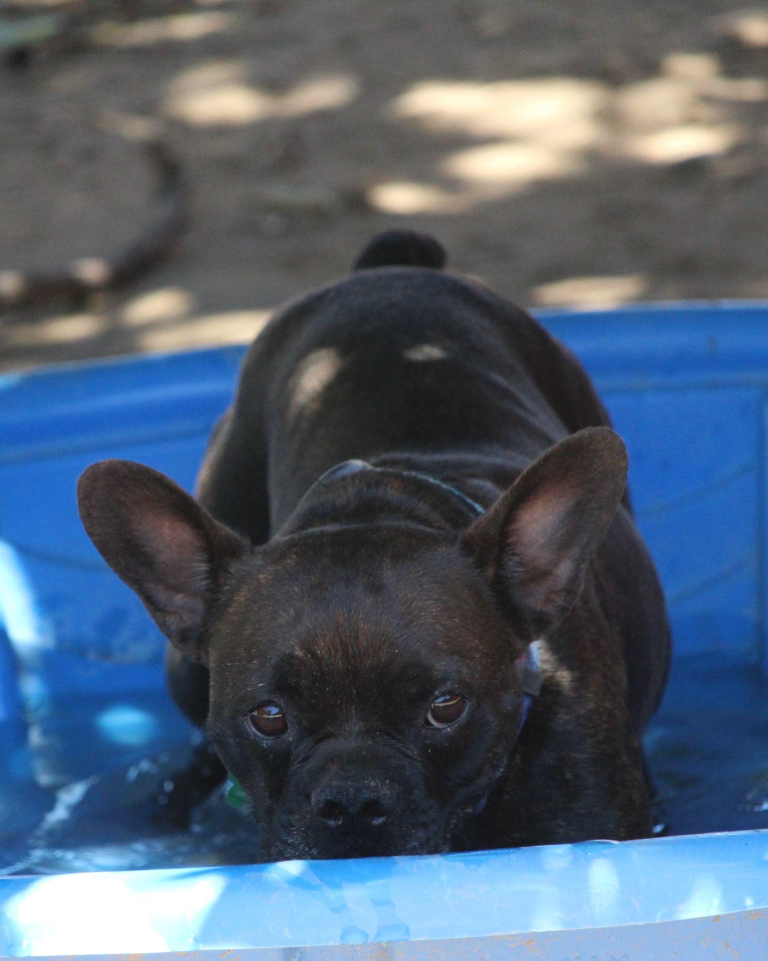 Bailey Girl thumbnail 6