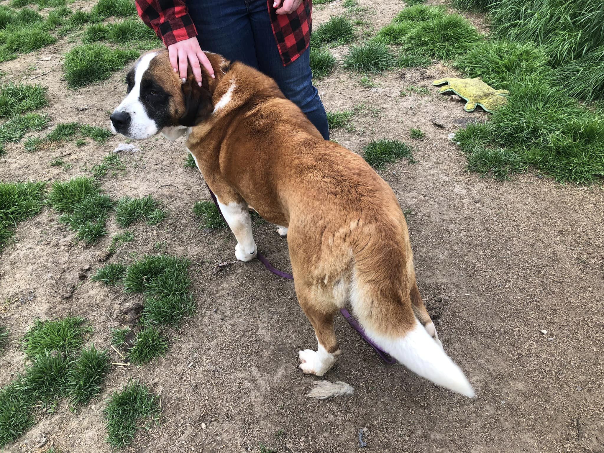Tara
