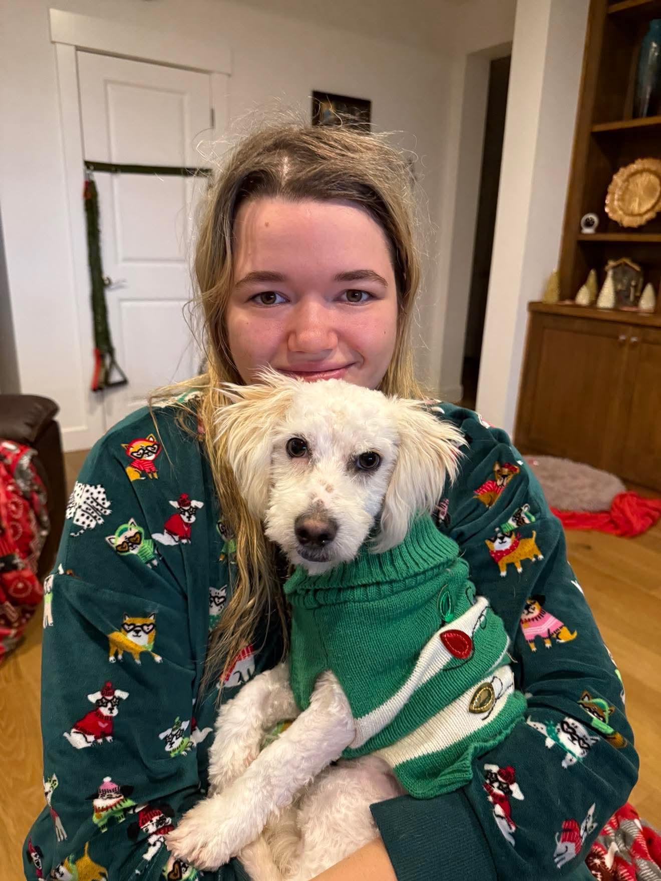 Enlarge Henri, a ADOPTABLE mixed breed in Beavercreek, OR image 2/6