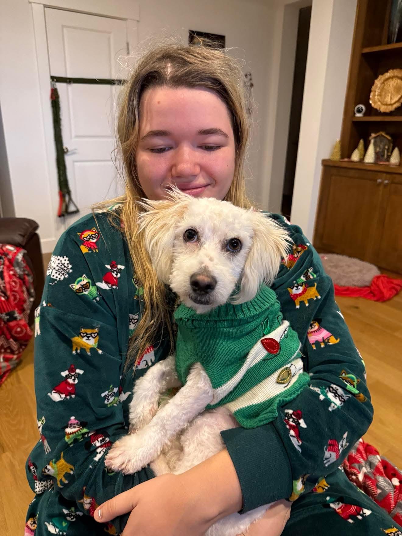 Enlarge Henri, a ADOPTABLE mixed breed in Beavercreek, OR image 3/6