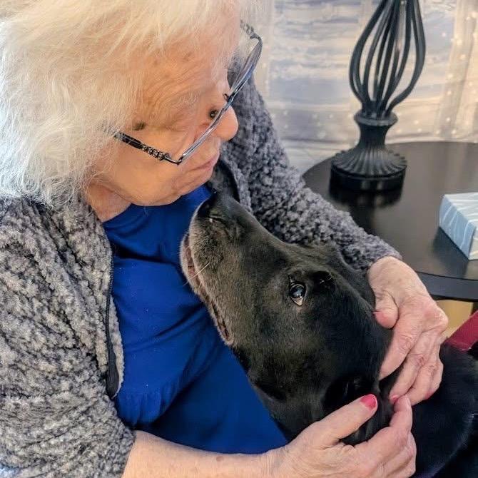 Jaqueline, a Adoptable Mixed Breed in Mentor, OH image 6/6