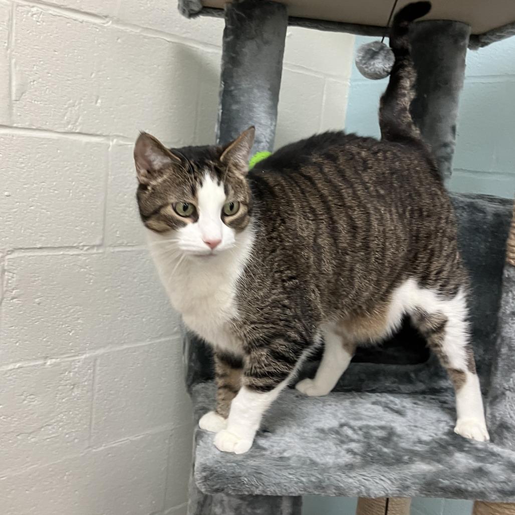 Aramis — thumbnail 6