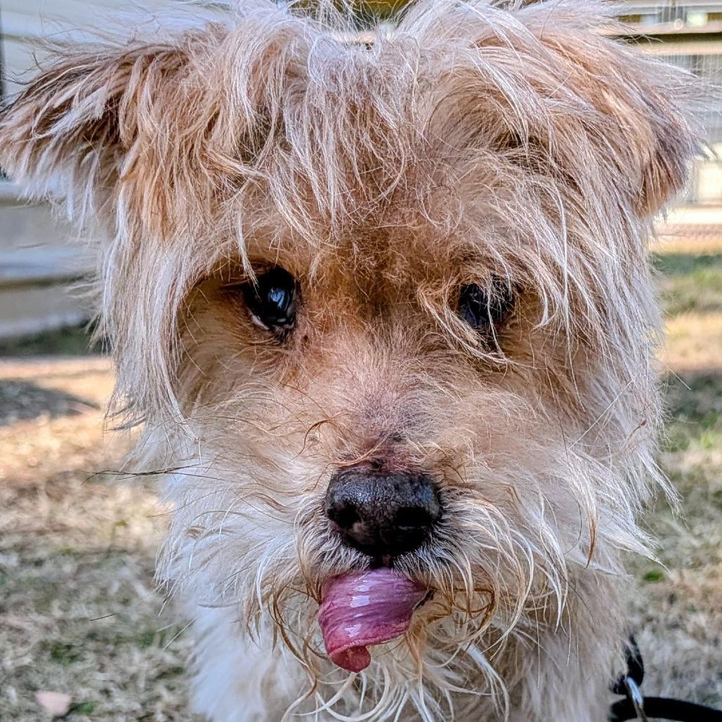 Irving Bailiff (San Antoinio)