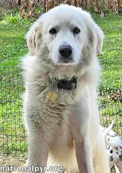 Frosty In La  thumbnail 3