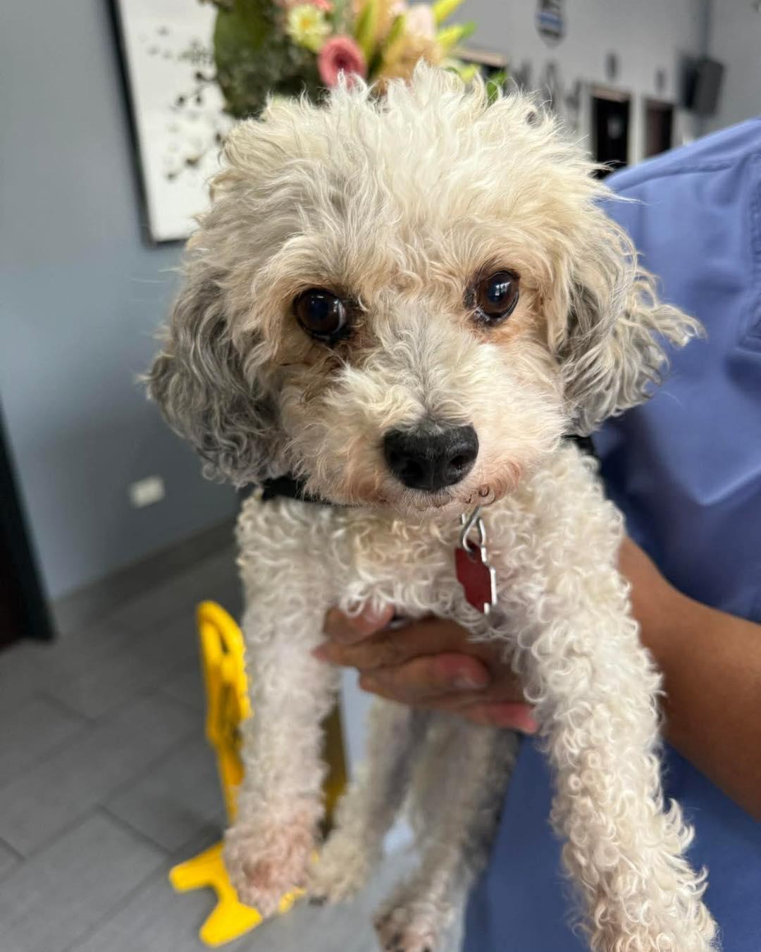 Sydney, Senior Female unknown