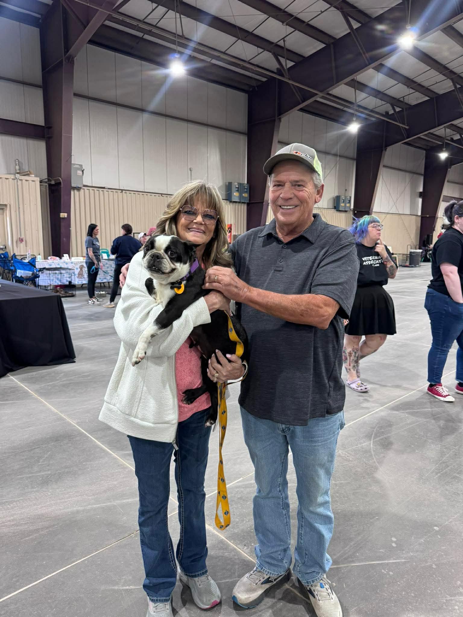Enlarge Vicky, a Adopted Boston Terrier in Muskogee, OK image 3/3