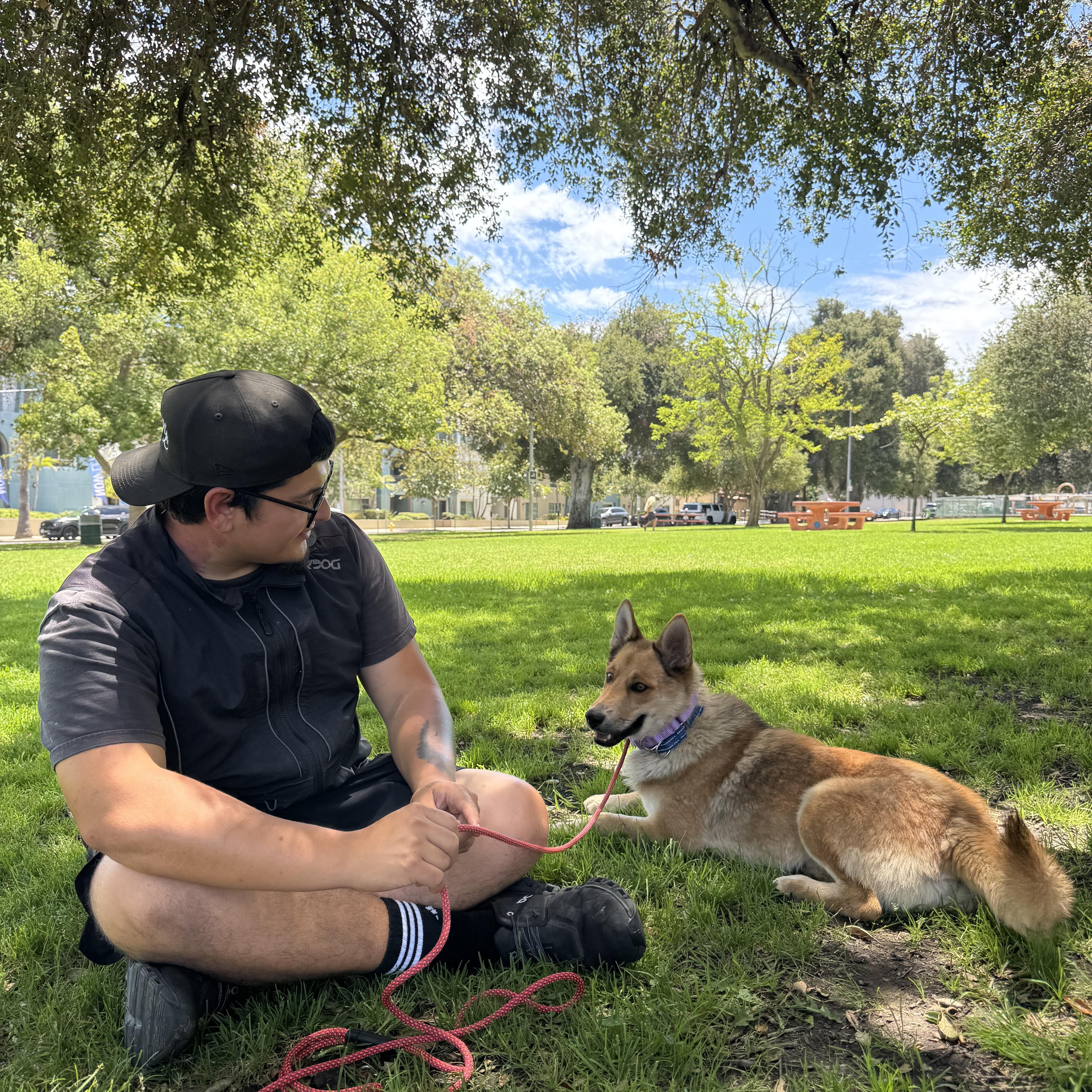 Foxy, a ADOPTABLE mixed breed in Thousand Oaks, CA image 3/6