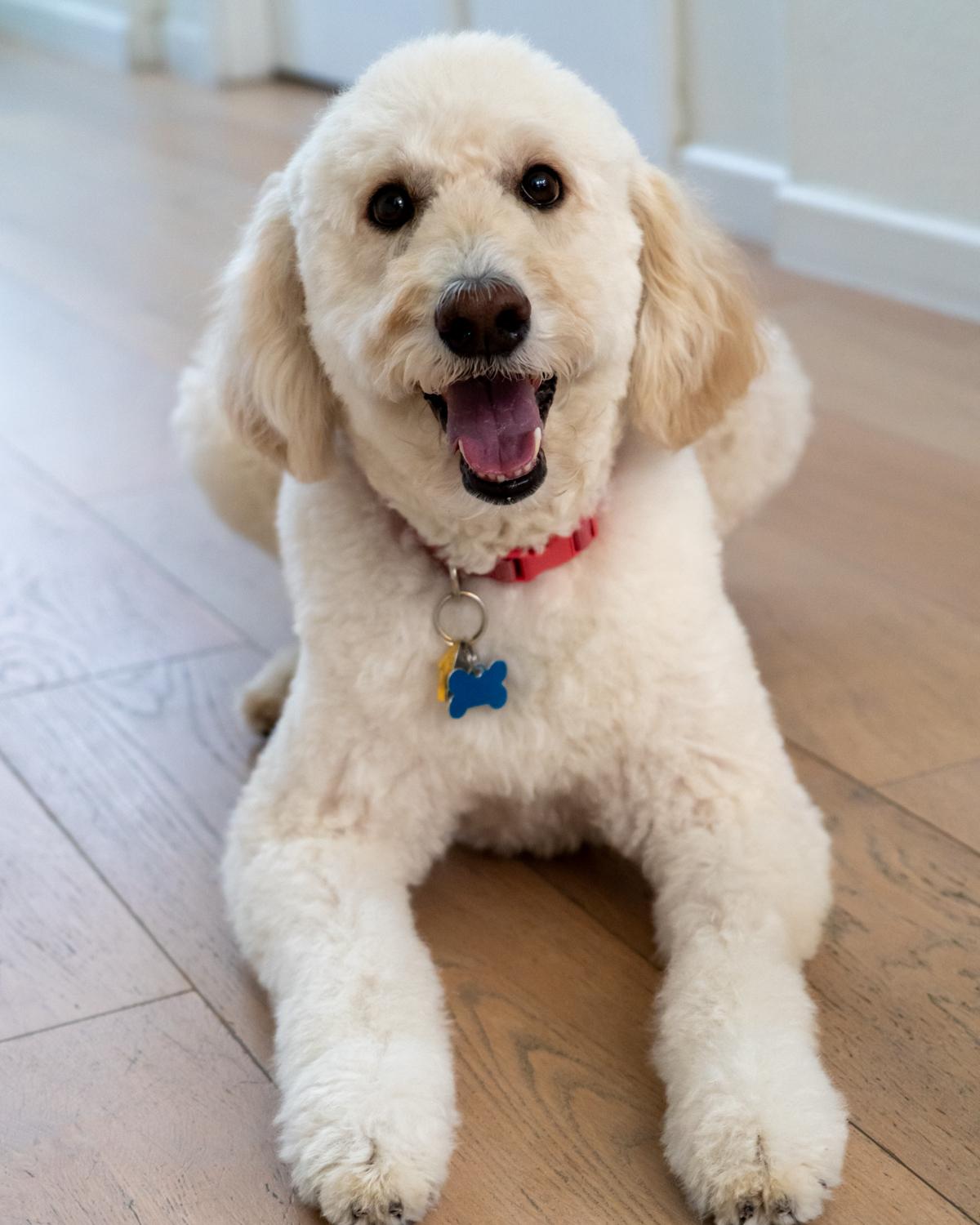 Suki