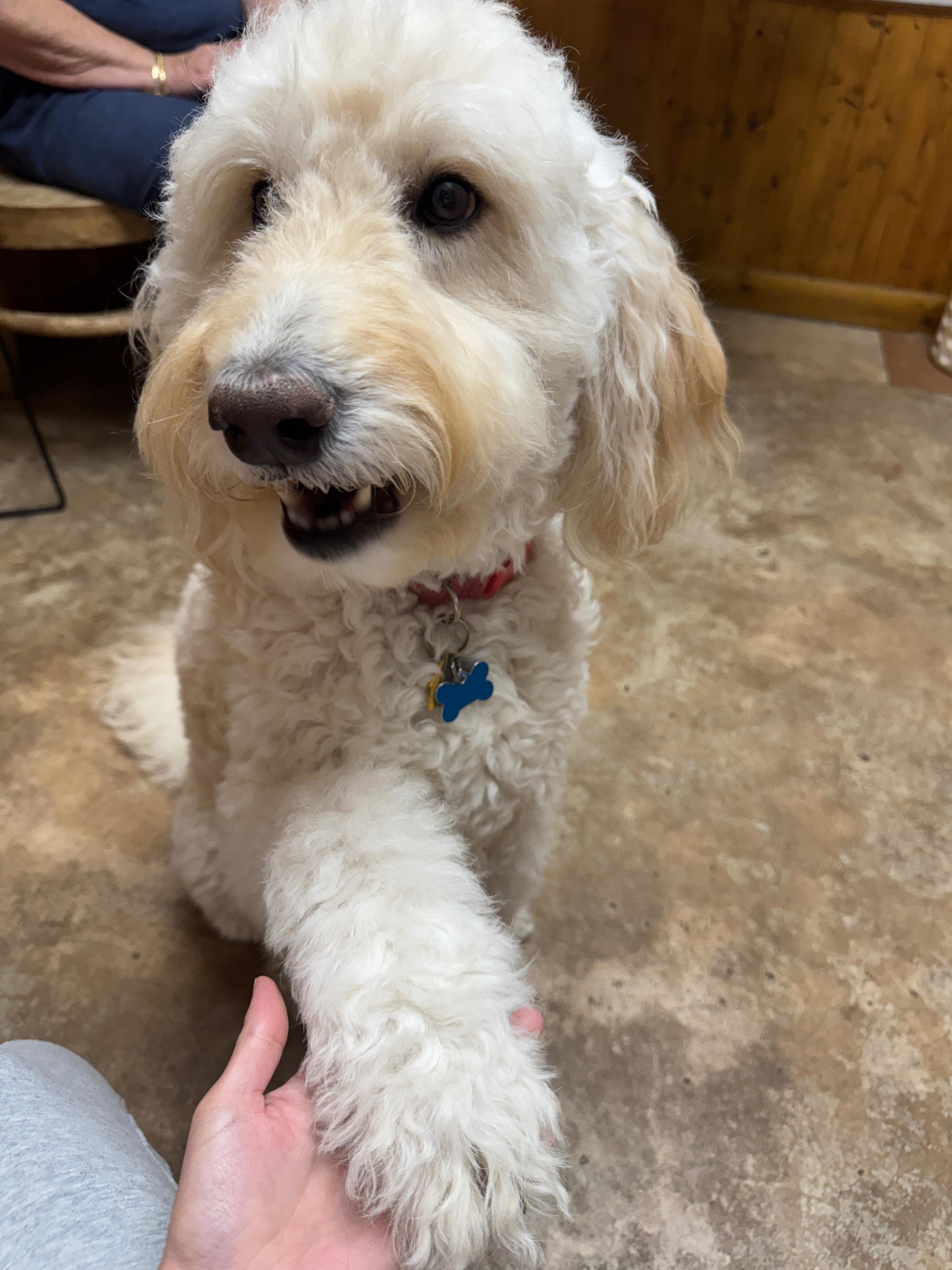 Suki