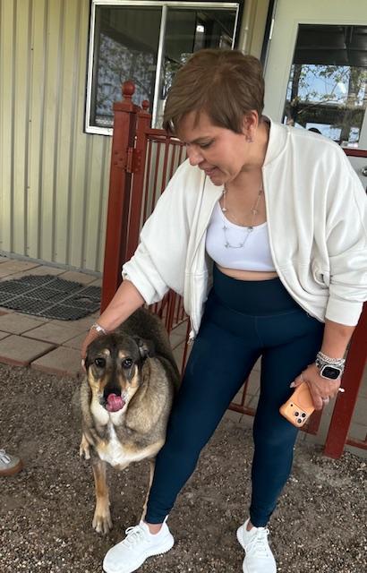 Enlarge Gohan, a Adoptable mixed breed in Milwaukee, WI image 5/6