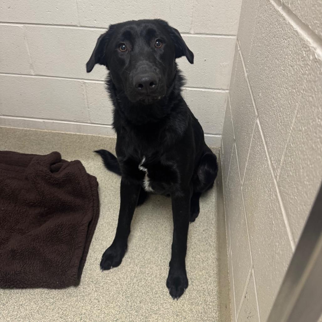 Kevin — thumbnail 2