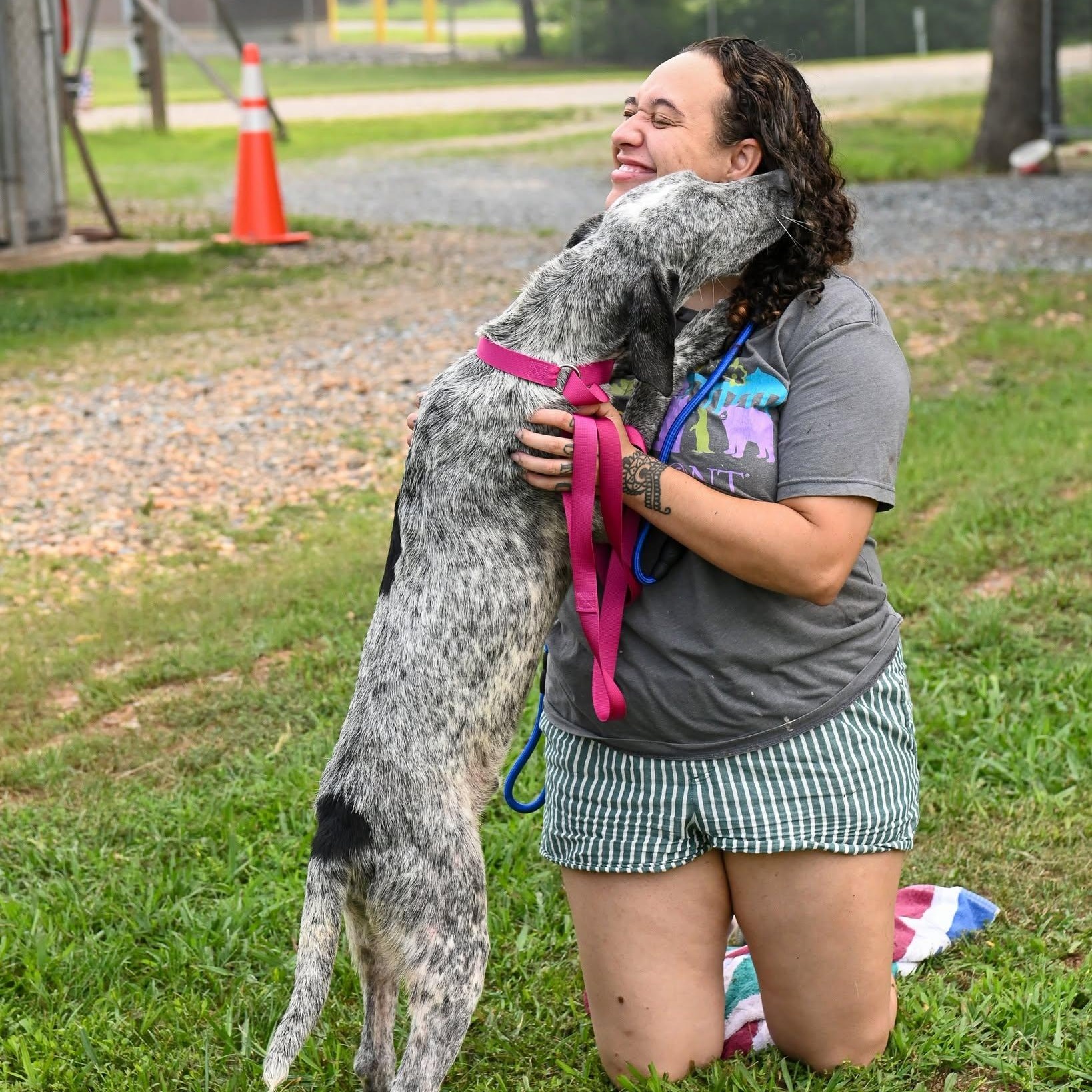 John, a ADOPTABLE mixed breed in Cumberland , VA image 4/4