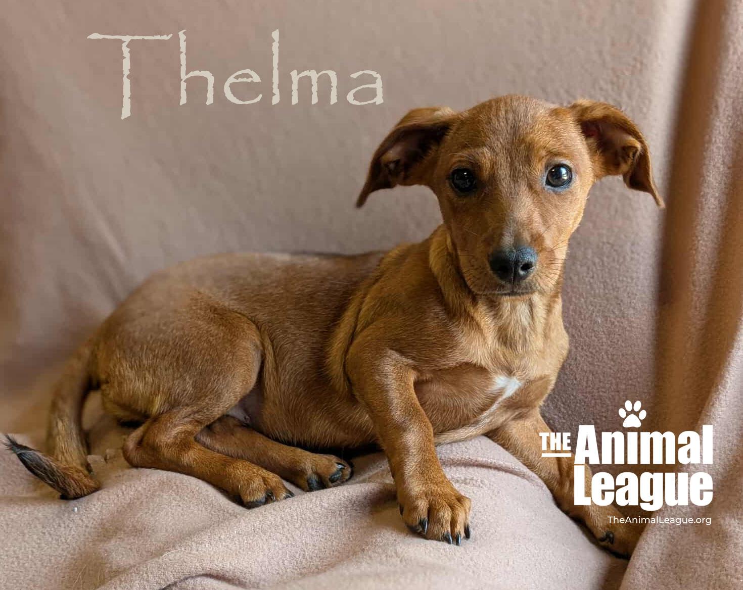 Thelma