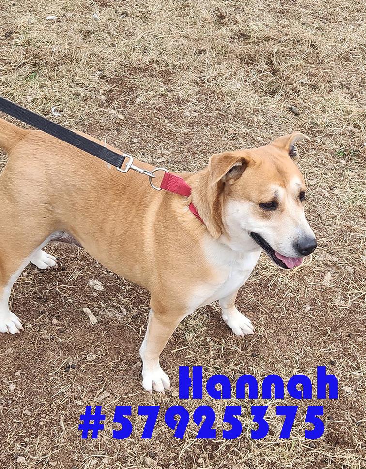 Hannah