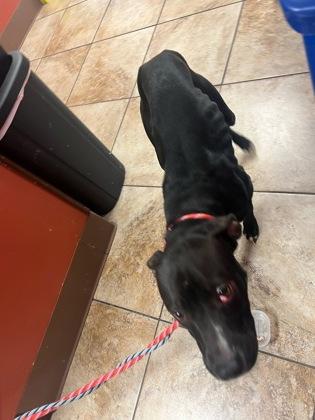 Night Sky thumbnail 2