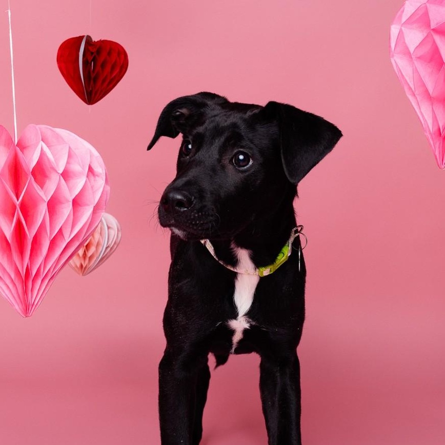 Tobias — thumbnail 2