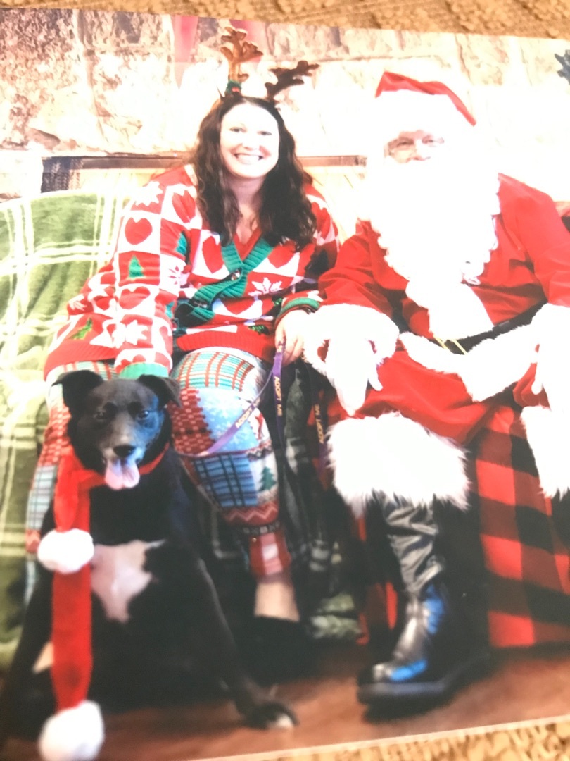 Stella, a Adoptable mixed breed in Memphis, TN image 5/12