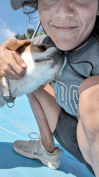 Enlarge Bart, a Adoptable mixed breed in Denver, CO video 6/6