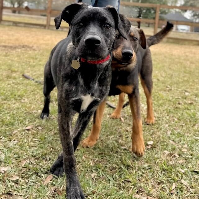 Lovey Kissy the Fun Lover Girl — thumbnail 2