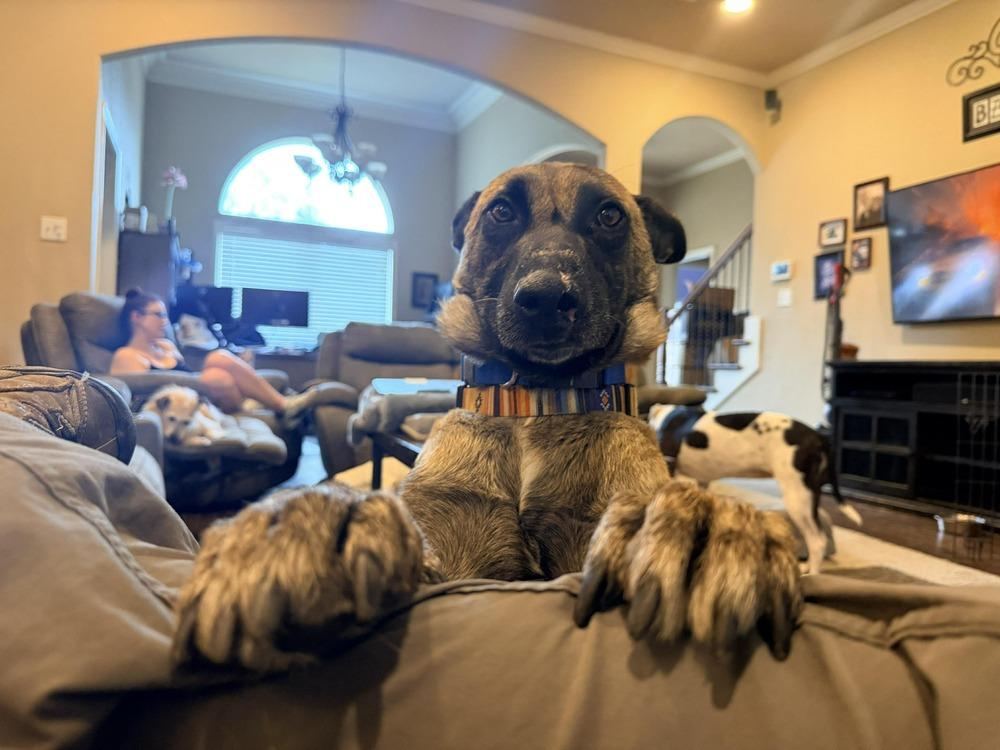 Diesel - located in Texas — thumbnail 4