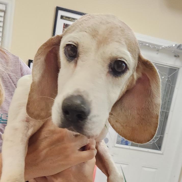 Billy Ray 22047 — thumbnail 2