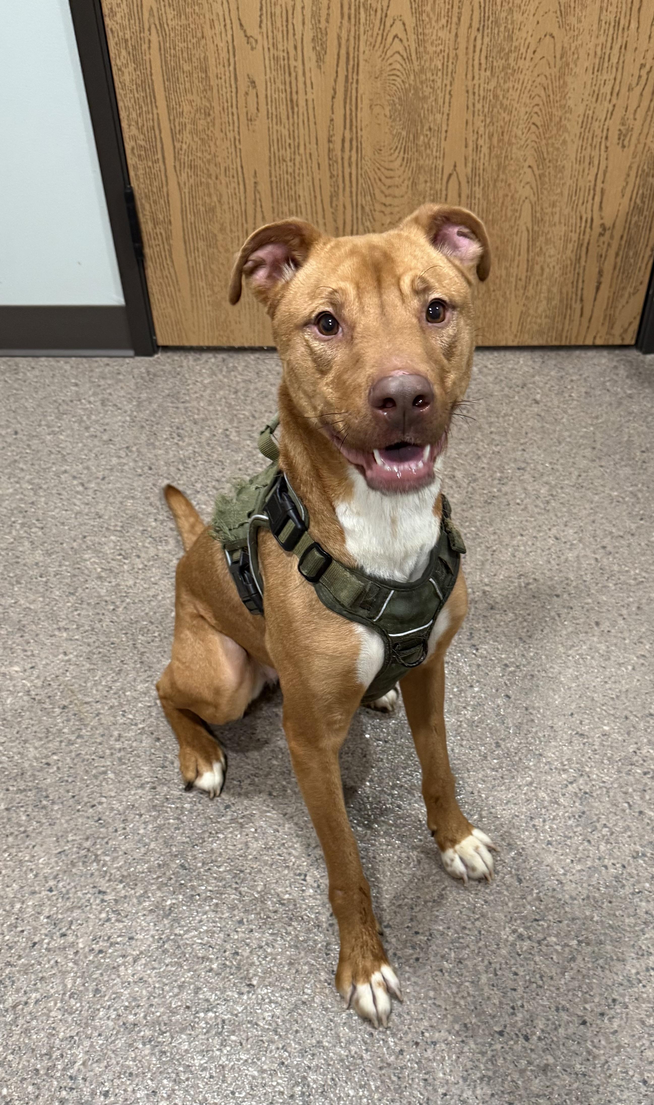 Mazy- Currently Enrolled in Prison Training Program