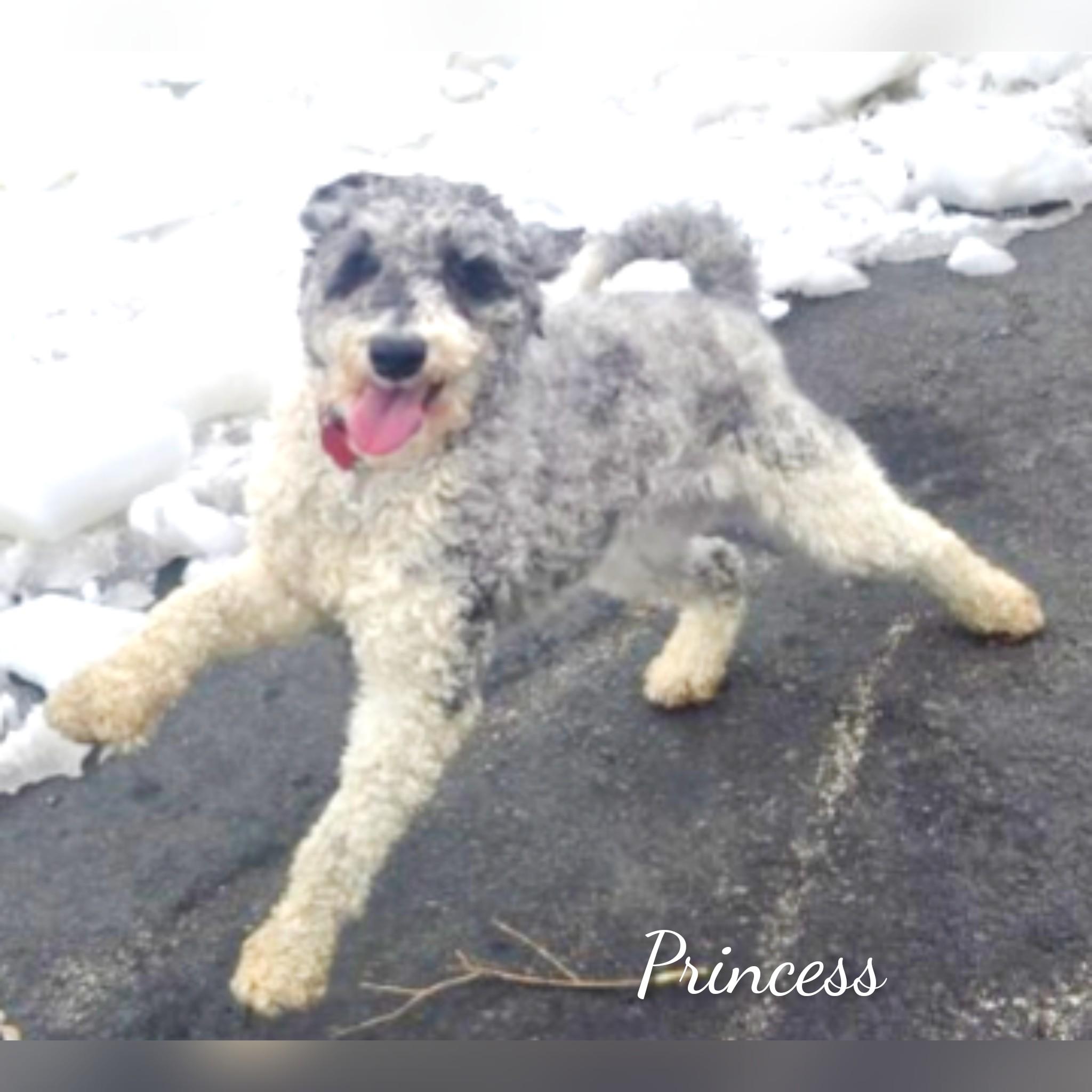 Princess thumbnail 3