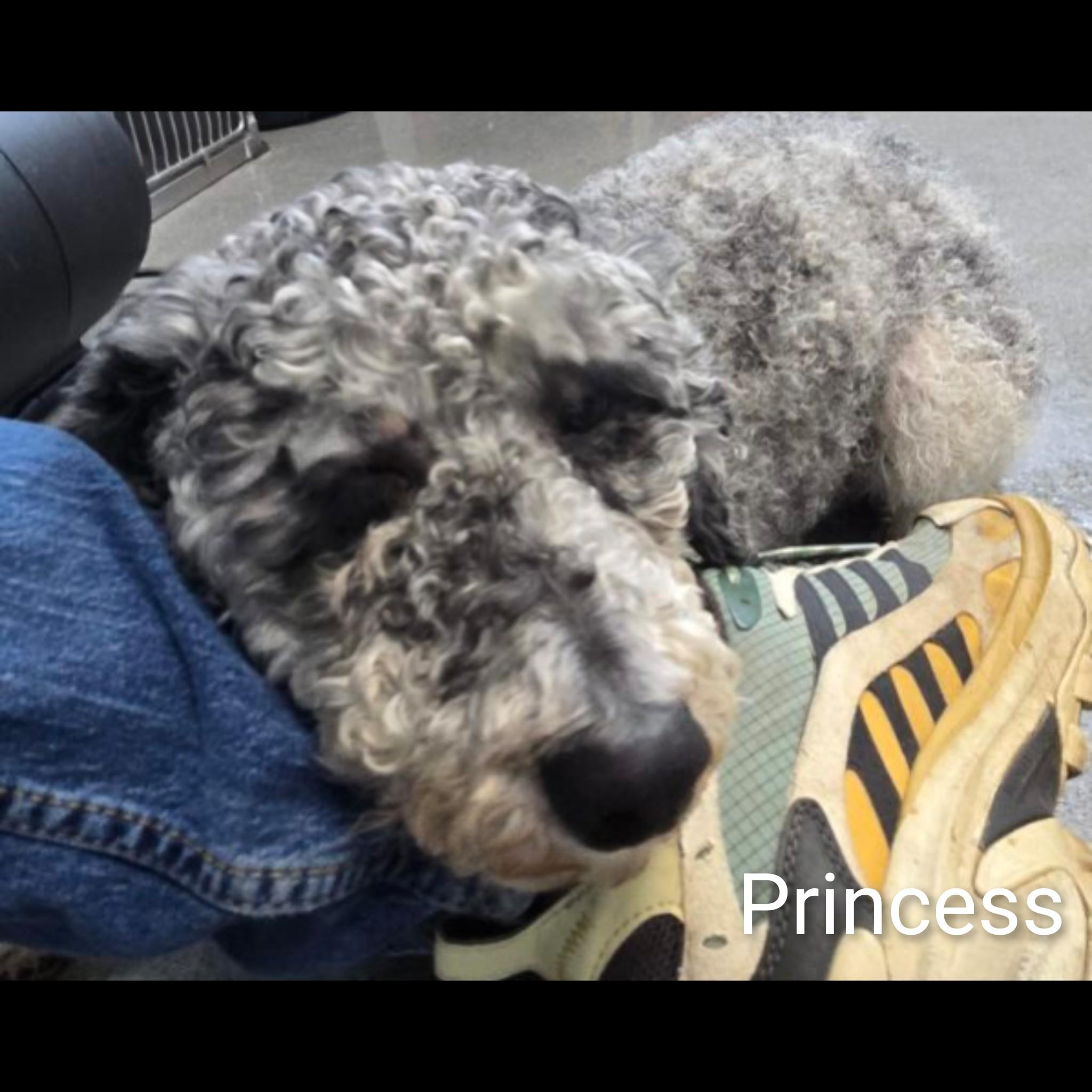 Princess thumbnail 6