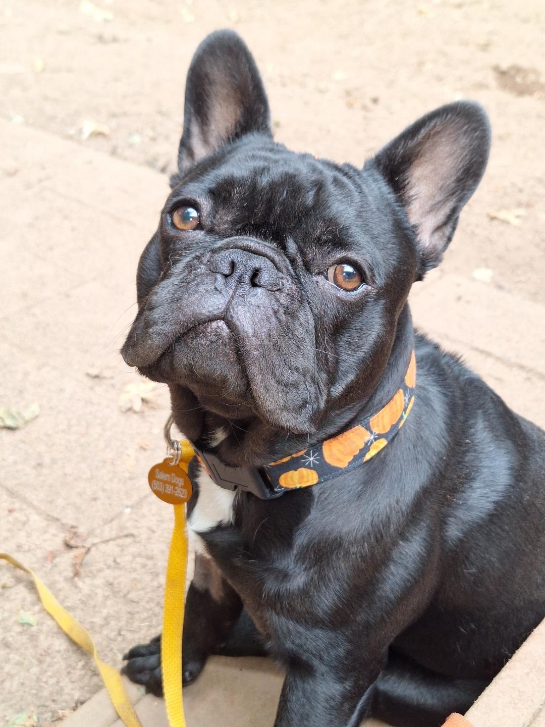 Gus
