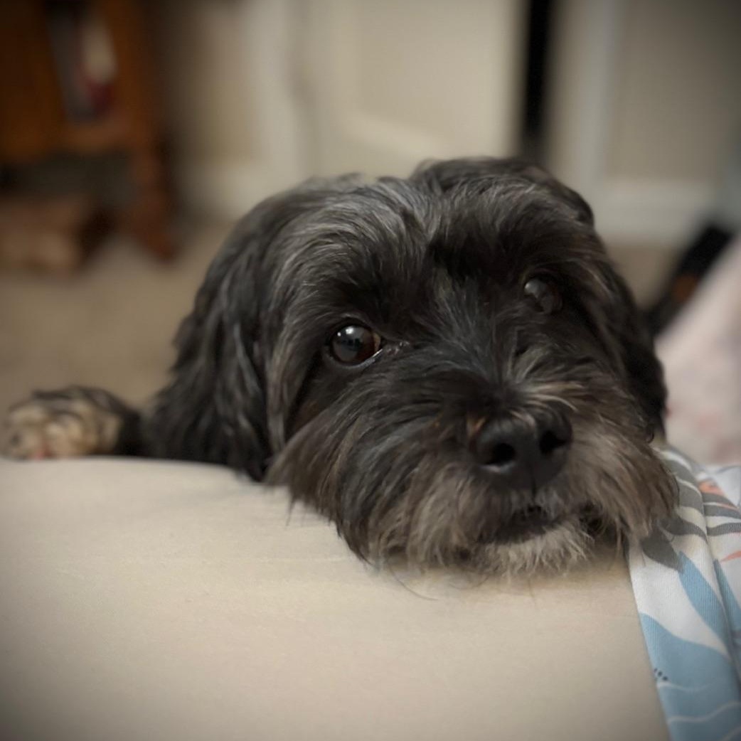 Lucy-Home Visit in Process