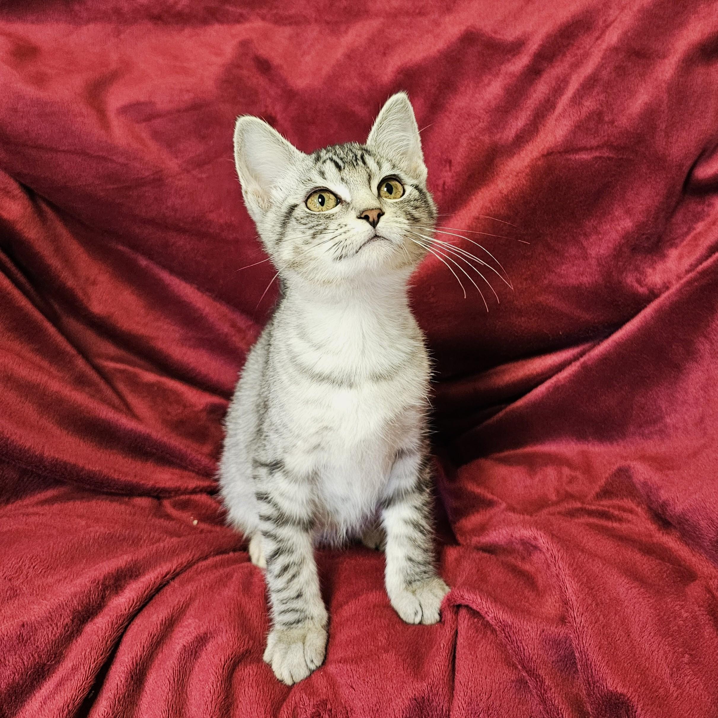Max