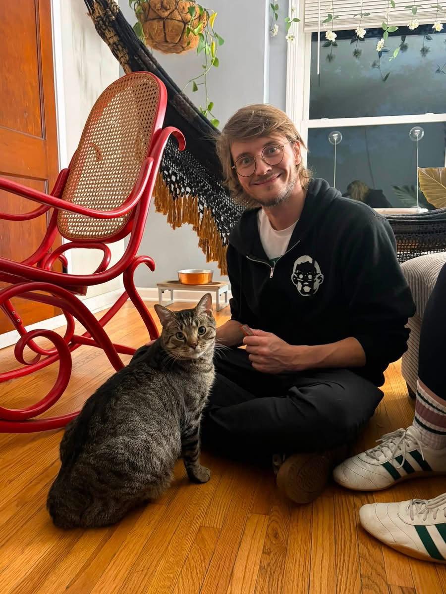 Bruce, Adopted, Young Male Domestic Short Hair.
