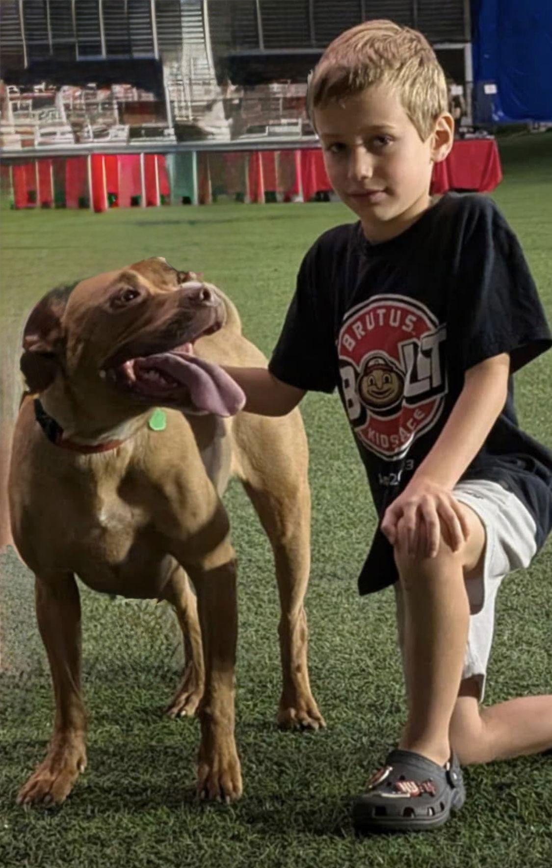 Enlarge Rosie, a Adoptable Pit Bull Terrier in Tonawanda, NY image 1/3