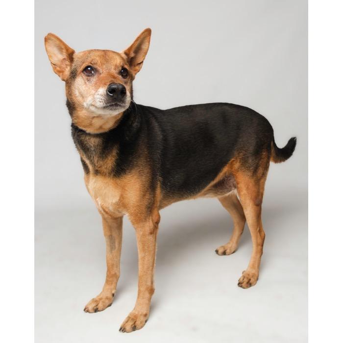 Boo Bear — thumbnail 2