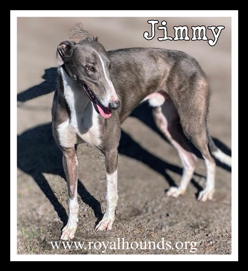 Jimmy thumbnail 2