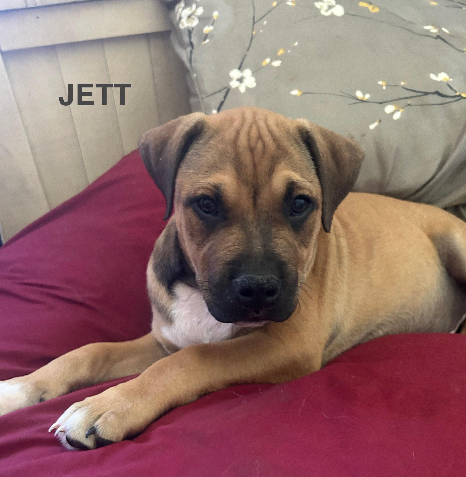 jett