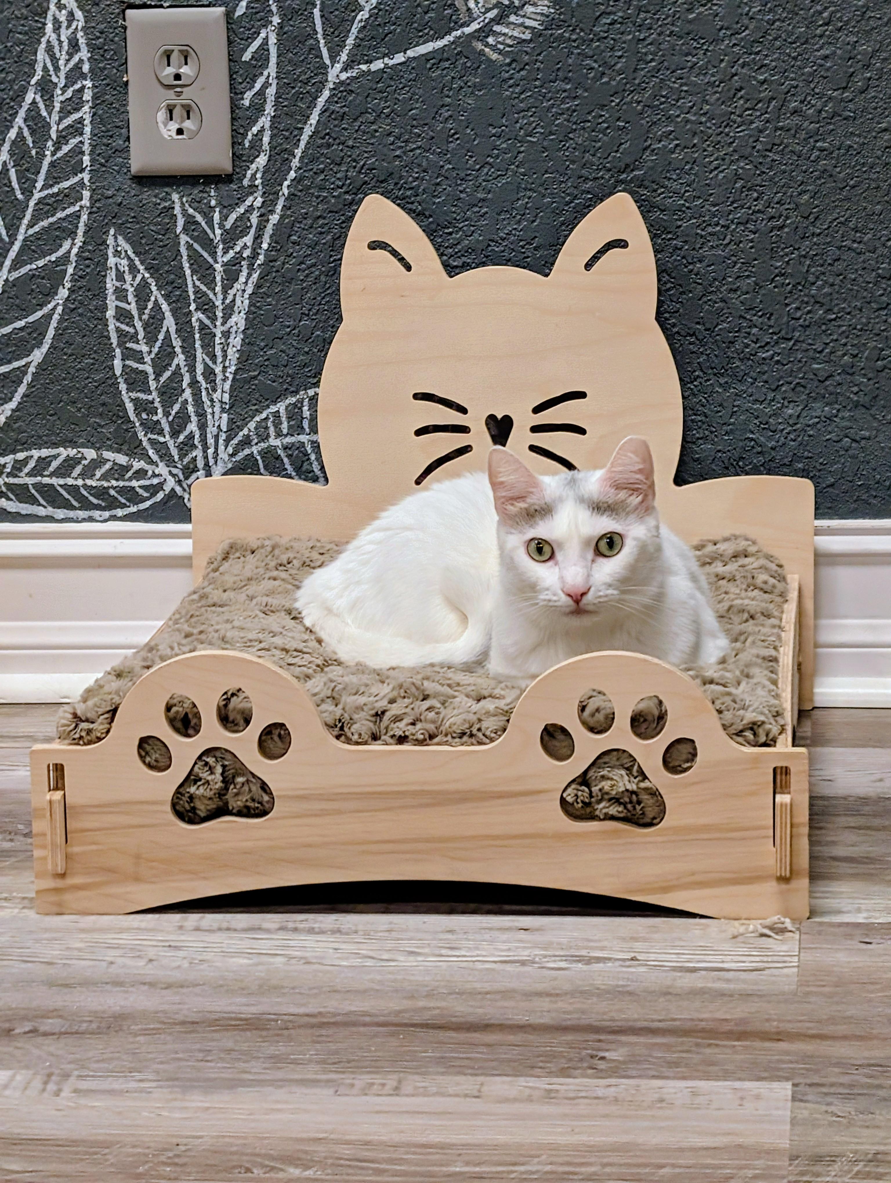 Enlarge Astoria, a ADOPTABLE Domestic Short Hair in Palm Harbor, FL image 3/3