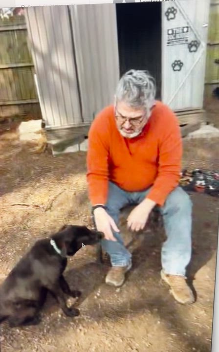 Enlarge Wynter, a ADOPTABLE mixed breed in Warrington, PA video 5/5