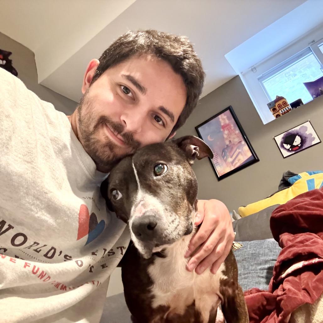 Enlarge Beau, a Adoptable Pit Bull Terrier in Chicago, IL image 2/4