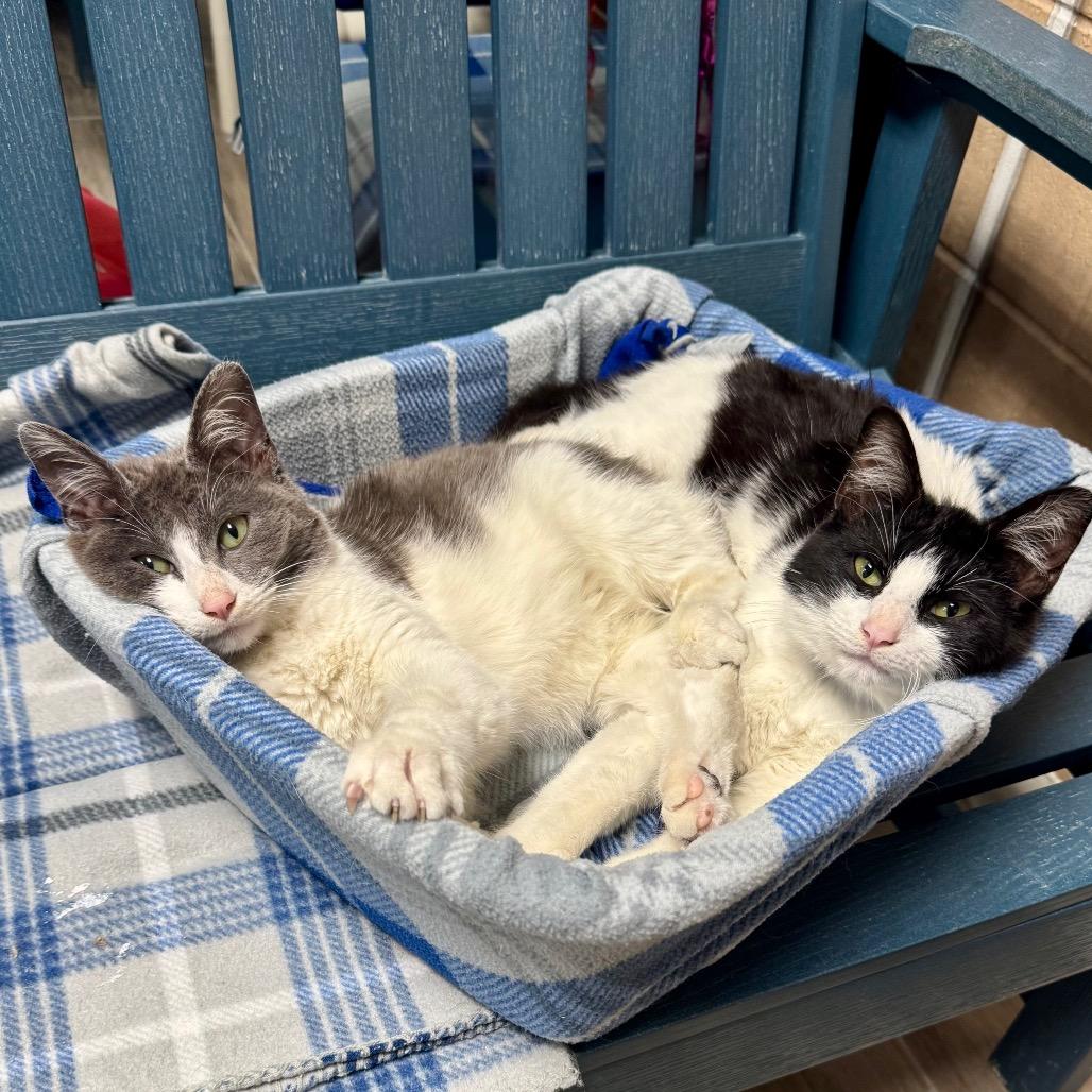 Reed — thumbnail 2