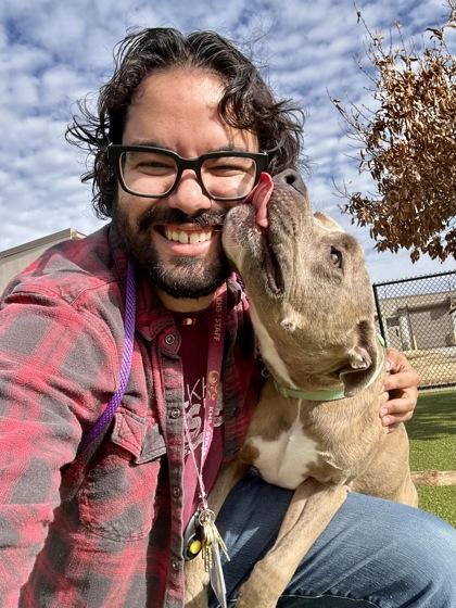 Enlarge Playboy, a Adoptable mixed breed in Wichita, KS image 1/3