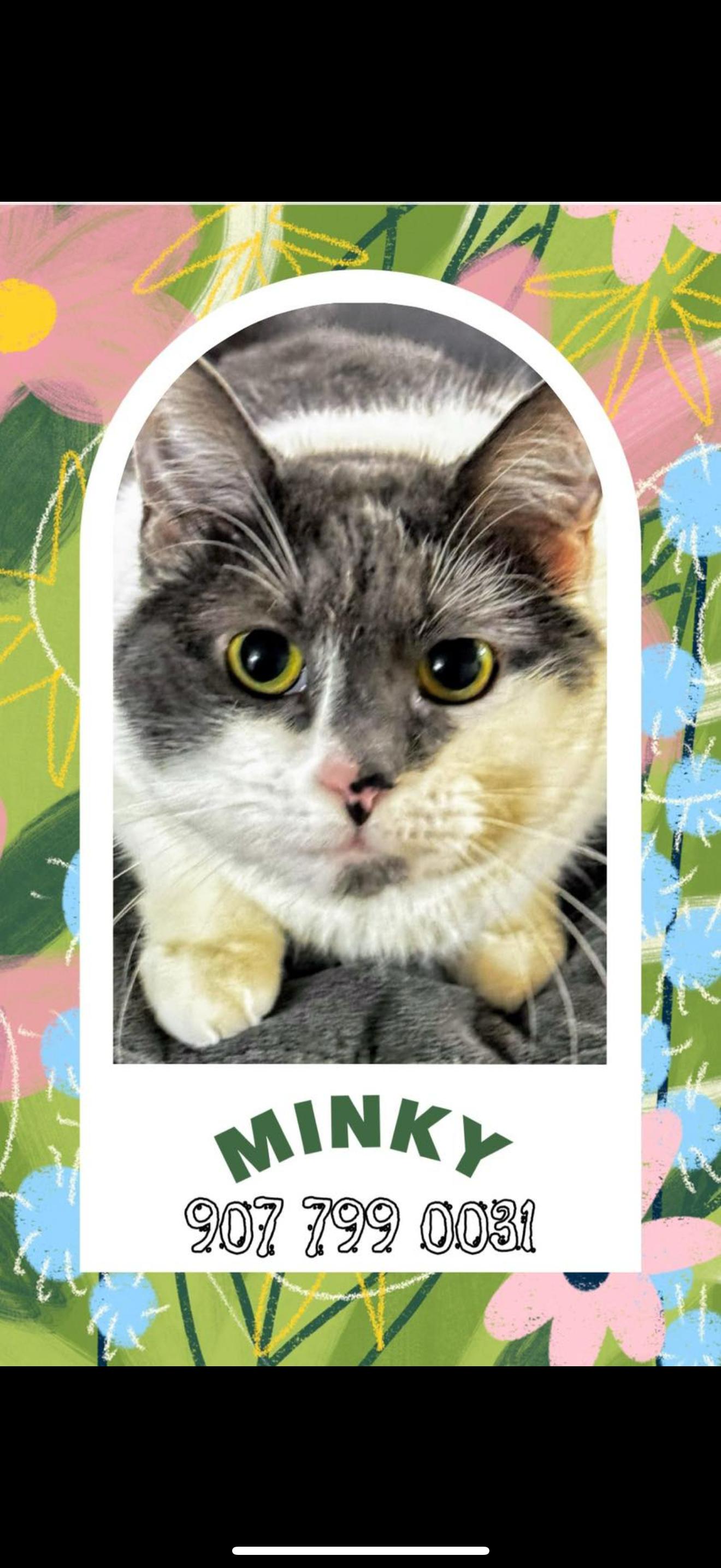 Minky thumbnail 2