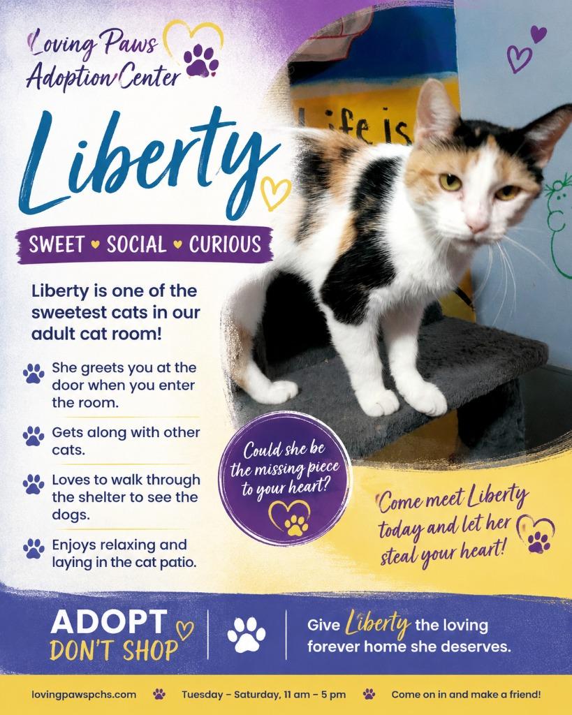 Liberty, a Adoptable mixed breed in Crocker, MO image 2/2
