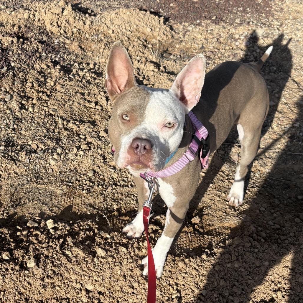 Babe — thumbnail 2