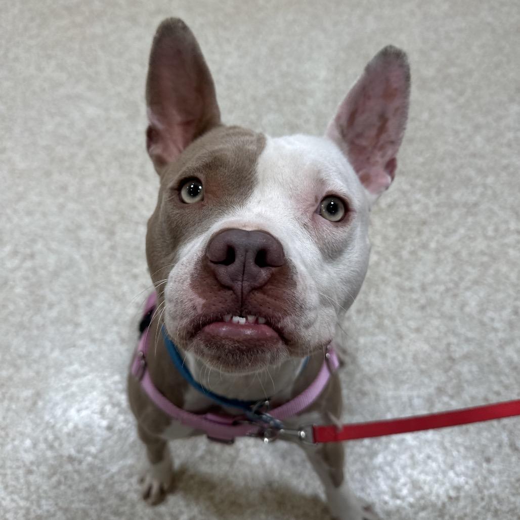 Babe — thumbnail 3